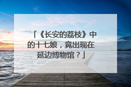 《长安的荔枝》中的十七娘，竟出现在延边博物馆？