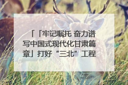 「牢记嘱托 奋力谱写中国式现代化甘肃篇章」打好“三北”工程攻坚战 筑牢国家西部生态安全屏障