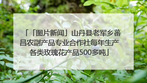 「图片新闻」山丹县老军乡蕃昌农副产品专业合作社每年生产各类玫瑰花产品500多吨