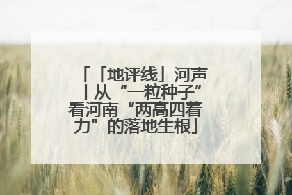 「地评线」河声丨从“一粒种子”看河南“两高四着力”的落地生根