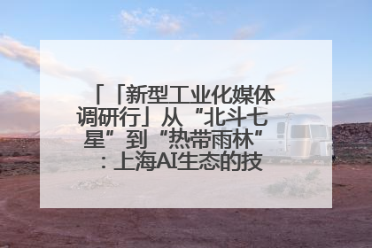 「新型工业化媒体调研行」从“北斗七星”到“热带雨林”：上海AI生态的技术商业共生密码