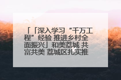 「深入学习“千万工程”经验 推进乡村全面振兴」和美荔城 共富共美 荔城区扎实推进乡村振兴工作