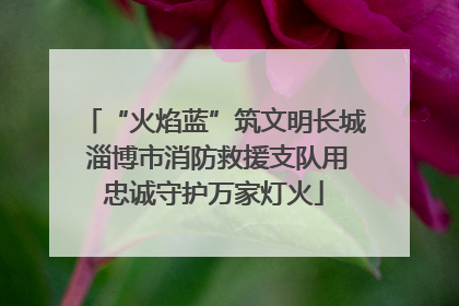 “火焰蓝”筑文明长城 淄博市消防救援支队用忠诚守护万家灯火