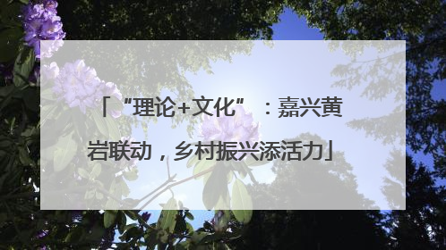 “理论+文化”：嘉兴黄岩联动，乡村振兴添活力