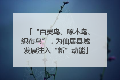 “百灵鸟、啄木鸟、织布鸟”，为仙居县域发展注入“新”动能