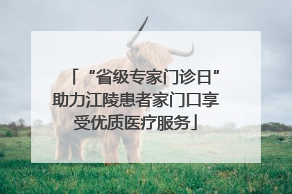 “省级专家门诊日”助力江陵患者家门口享受优质医疗服务