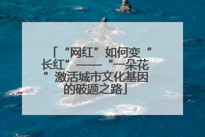 “网红”如何变“长红”——“一朵花”激活城市文化基因的破题之路
