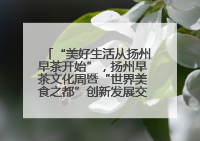 “美好生活从扬州早茶开始”，扬州早茶文化周暨“世界美食之都”创新发展交流活动启幕