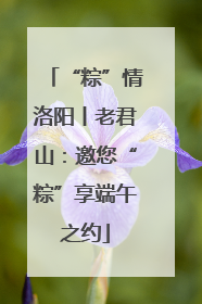 “粽”情洛阳丨老君山：邀您“粽”享端午之约