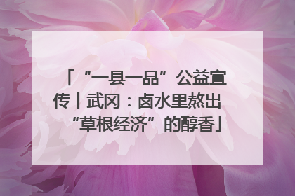 “一县一品”公益宣传丨武冈：卤水里熬出“草根经济”的醇香