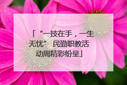 “一技在手，一生无忧” 民勤职教活动周精彩纷呈
