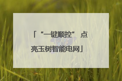 “一键顺控” 点亮玉树智能电网
