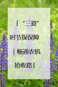 “三夏”时节探保障｜畅通农机抢收路