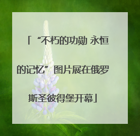 “不朽的功勋 永恒的记忆”图片展在俄罗斯圣彼得堡开幕