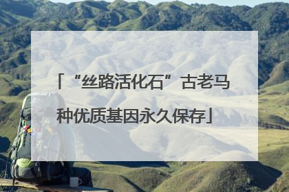 “丝路活化石”古老马种优质基因永久保存