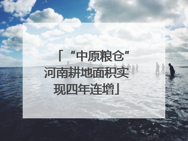 “中原粮仓”河南耕地面积实现四年连增