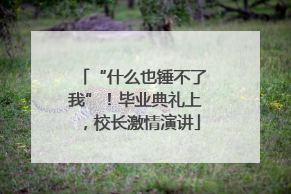 “什么也锤不了我”！毕业典礼上，校长激情演讲