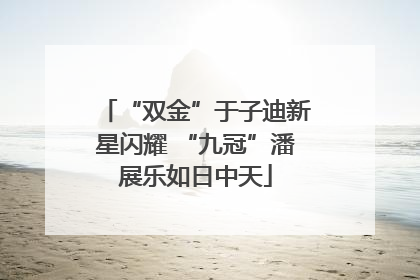“双金”于子迪新星闪耀 “九冠”潘展乐如日中天