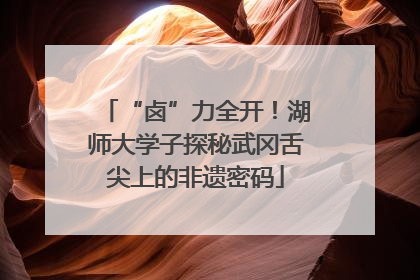 “卤”力全开！湖师大学子探秘武冈舌尖上的非遗密码