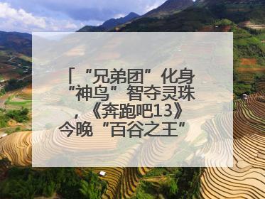 “兄弟团”化身“神鸟”智夺灵珠，《奔跑吧13》今晚“百谷之王”花落谁家？