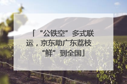 “公铁空”多式联运，京东助广东荔枝“鲜”到全国