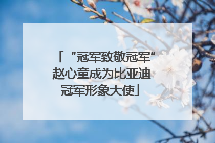 “冠军致敬冠军” 赵心童成为比亚迪冠军形象大使