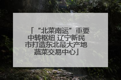 “北菜南运”重要中转枢纽 辽宁新民市打造东北最大产地蔬菜交易中心
