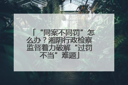 “同案不同罚”怎么办？湘阴行政检察监督着力破解“过罚不当”难题
