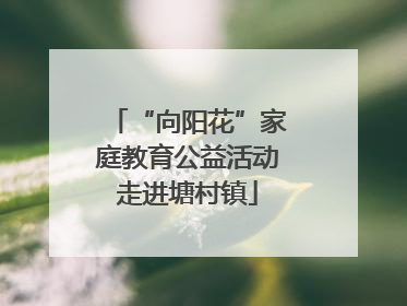 “向阳花”家庭教育公益活动走进塘村镇