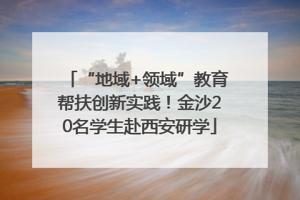 “地域+领域”教育帮扶创新实践！金沙20名学生赴西安研学