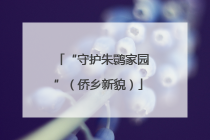“守护朱鹮家园”（侨乡新貌）