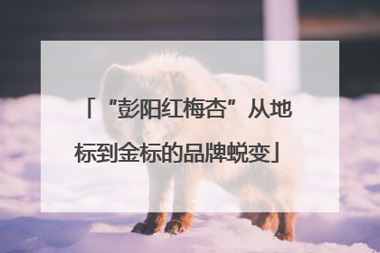 “彭阳红梅杏”从地标到金标的品牌蜕变