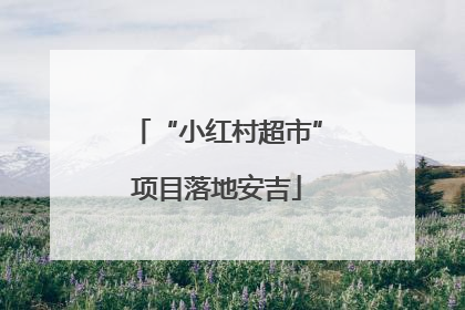 “小红村超市”项目落地安吉