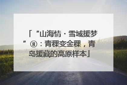 “山海情・雪域援梦”⑧：青稞变金稞，青岛援藏的高原样本