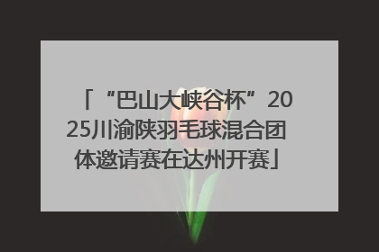 “巴山大峡谷杯”2025川渝陕羽毛球混合团体邀请赛在达州开赛