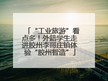 “工业旅游”看点多！外籍学生走进胶州李哥庄镇体验“胶州智造”