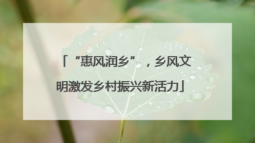 “惠风润乡”，乡风文明激发乡村振兴新活力
