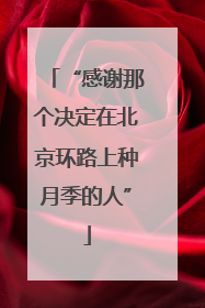 “感谢那个决定在北京环路上种月季的人”