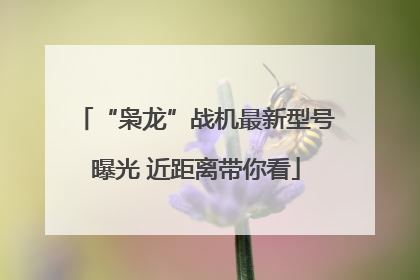 “枭龙”战机最新型号曝光 近距离带你看