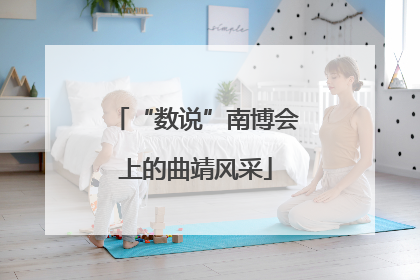 “数说”南博会上的曲靖风采