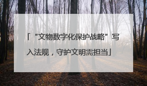 “文物数字化保护战略”写入法规，守护文明需担当
