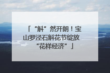 “斛”然开朗！宝山罗泾石斛花节绽放“花样经济”