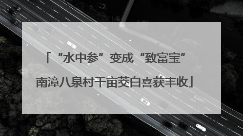 “水中参”变成“致富宝” 南漳八泉村千亩茭白喜获丰收