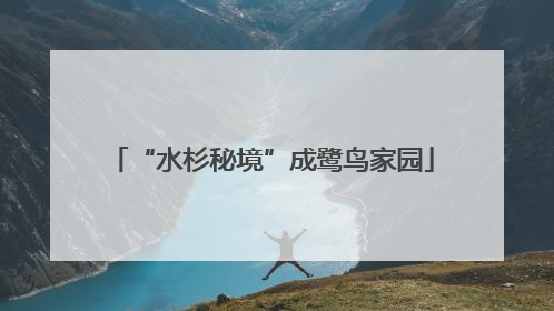 “水杉秘境”成鹭鸟家园