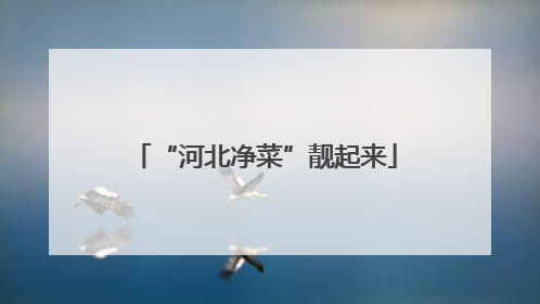 “河北净菜”靓起来