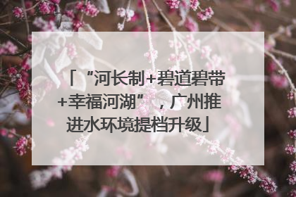 “河长制+碧道碧带+幸福河湖”，广州推进水环境提档升级