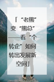 “老熊”变“熊总”——看“个转企”如何转出发展新空间