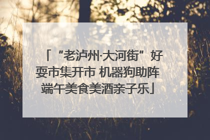 “老泸州·大河街”好耍市集开市 机器狗助阵端午美食美酒亲子乐