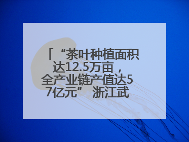“茶叶种植面积达12.5万亩，全产业链产值达57亿元” 浙江武义茶产业全链发展“加速度”