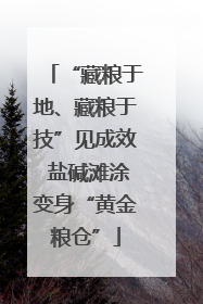 “藏粮于地、藏粮于技”见成效 盐碱滩涂变身“黄金粮仓”